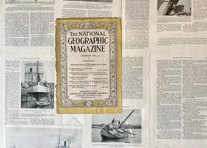 شقة Chilliapartamenty- Zielone Tarasy- Geografic