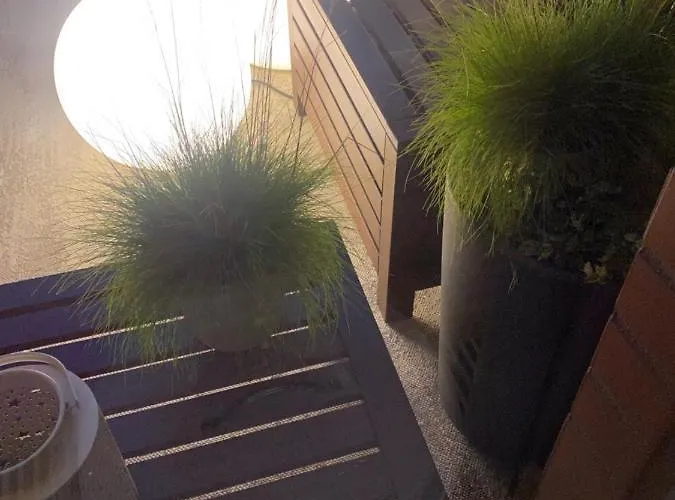 Chilliapartamenty- Zielone Tarasy- Geografic